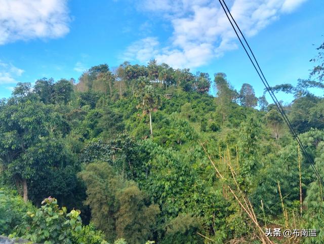 “走几步路就必须摇扇的地方”，靠茶泡出和谐之地