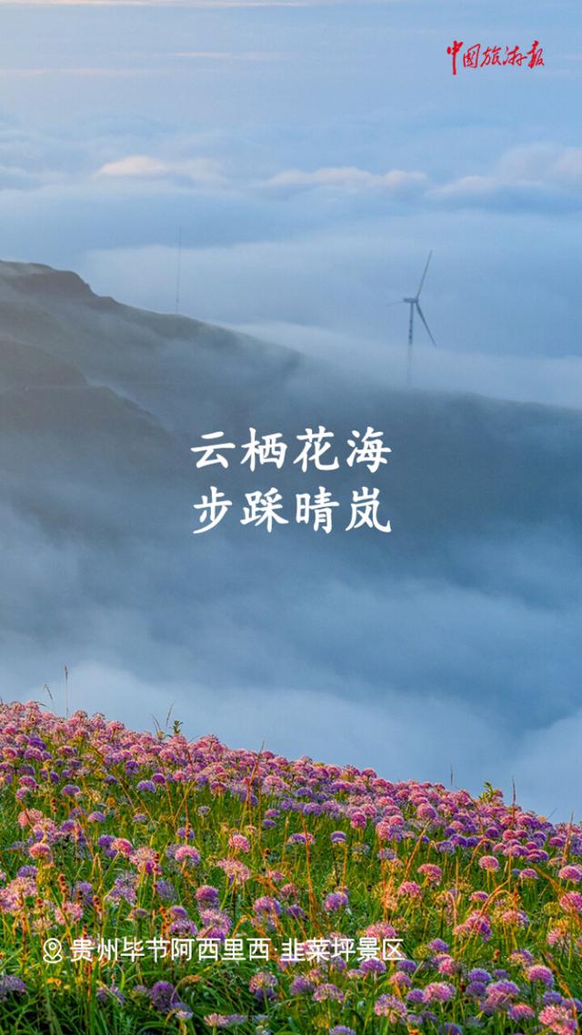 处暑丨撷一缕凉风 与万物共赴秋实