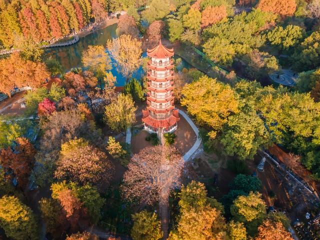 湖北小众秋色段位榜：这6条宝藏路线，让你独占整个秋天！