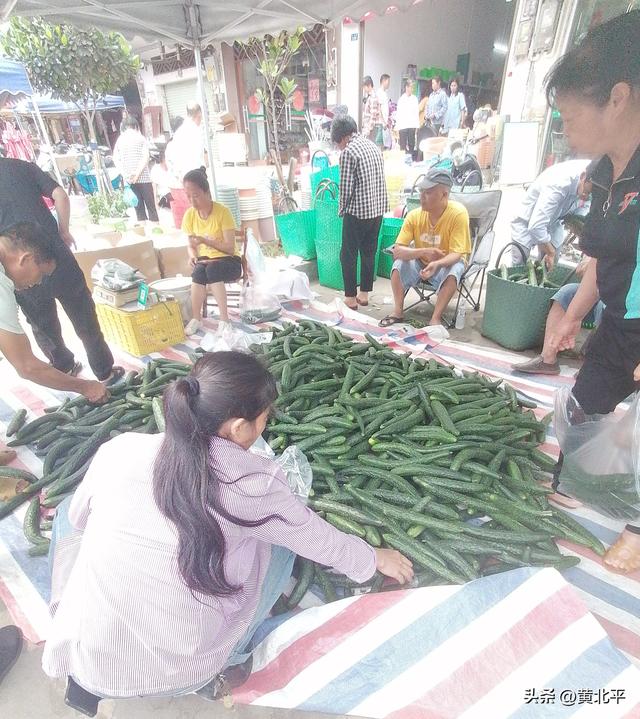 广西南宁市武鸣区民国时因械斗分出两个新圩，混得最好的是罗波圩