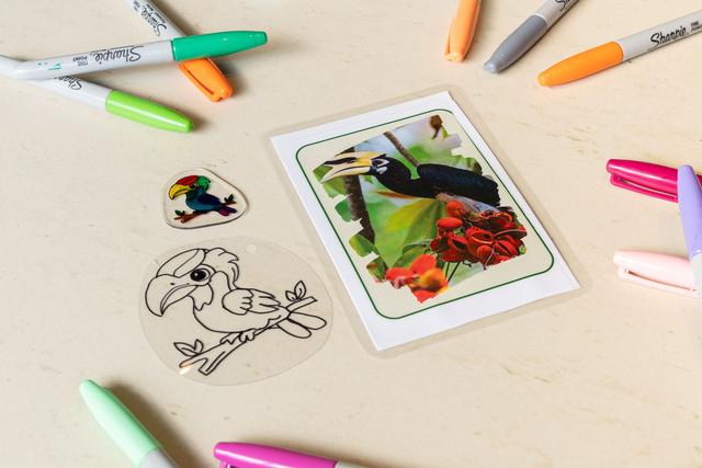 旅游媒体|狮城雨林见证悦榕百店里程碑|广州旅游媒体