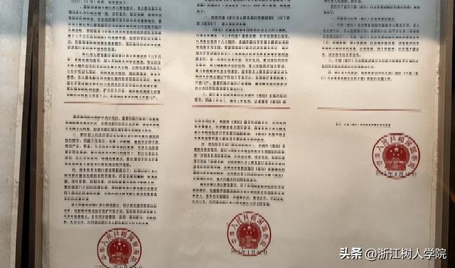 【暑期社会实践】浙江树人学院宸阳书院暑期实践团赴舟山实践调研