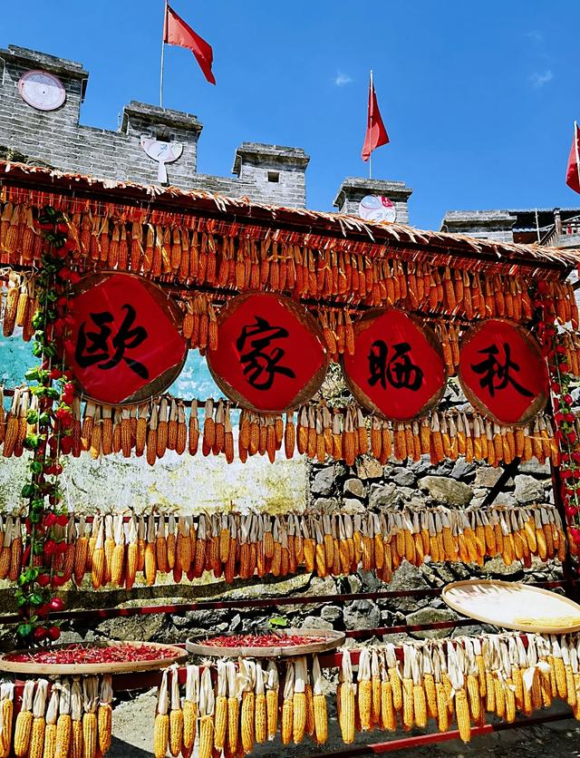 清远深秋十大免费打卡地，邂逅岭南最美金黄秘境！