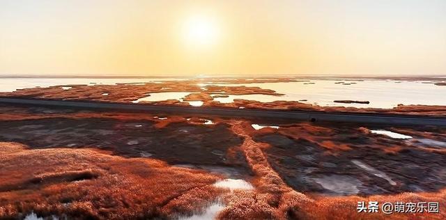 黄昏降临台特玛湖，夕阳沉落芦苇荡，整片水域宛如瑰宝