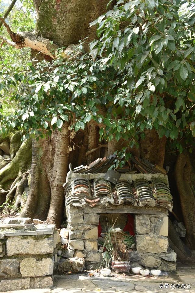 雨补鲁，天坑里的600年古村落，至今仅有一条路进出！