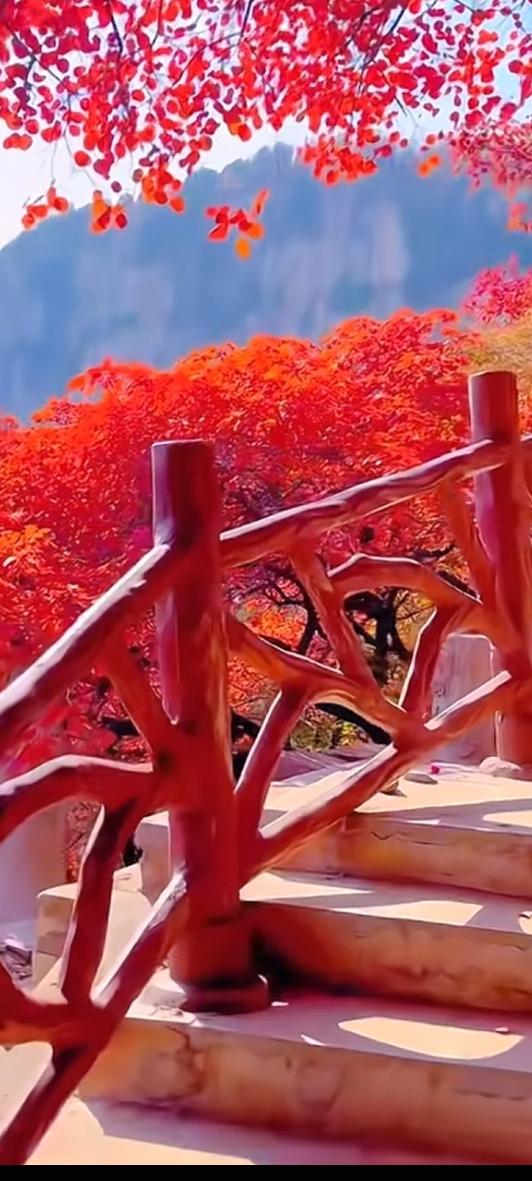 “青春逐秋，故宫梦启说走就走。”