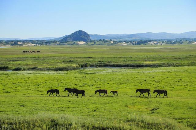 五一假期反向旅行，8个人少的目的地，风景渐入最佳观赏期