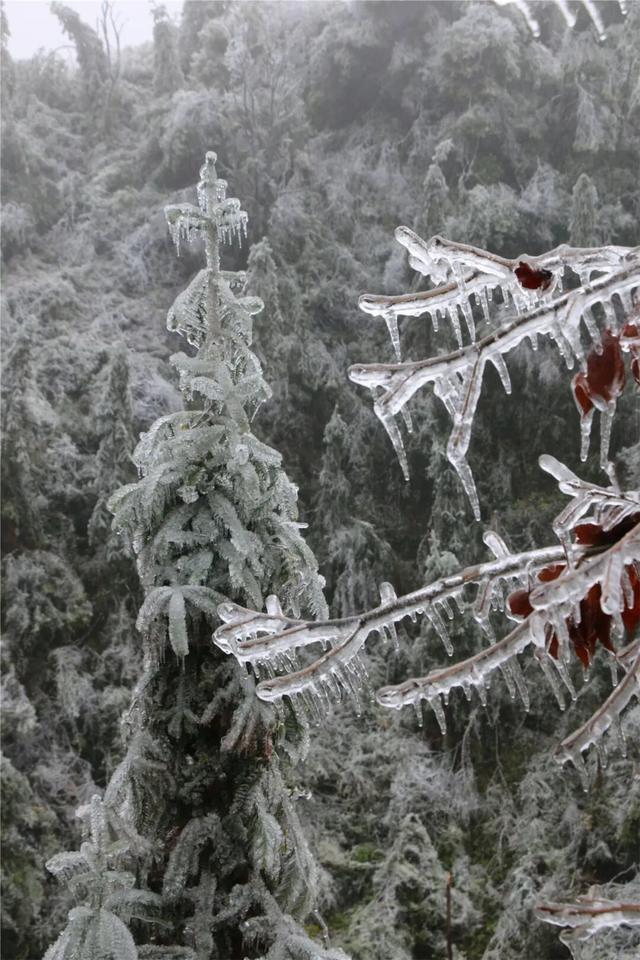 朋友圈C位预告！韶关雾凇限时上线，这片赏冰秘境地图等你来打卡