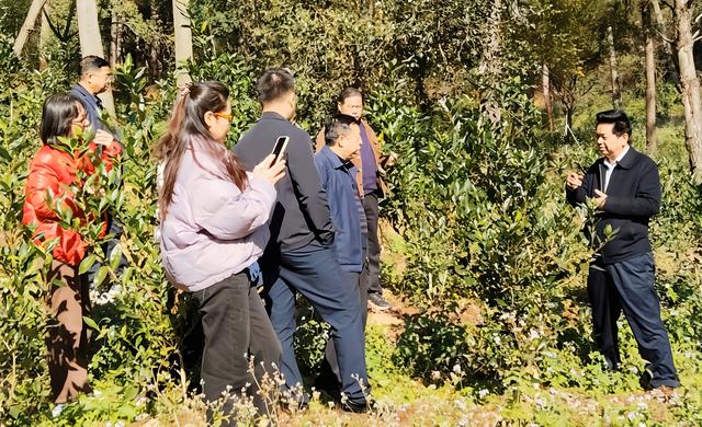 茶陵踏寻神农足迹 共绘文旅新篇