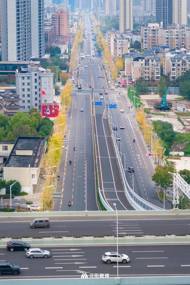 限时绝美！汉阳全城颜值巅峰，零换乘直达