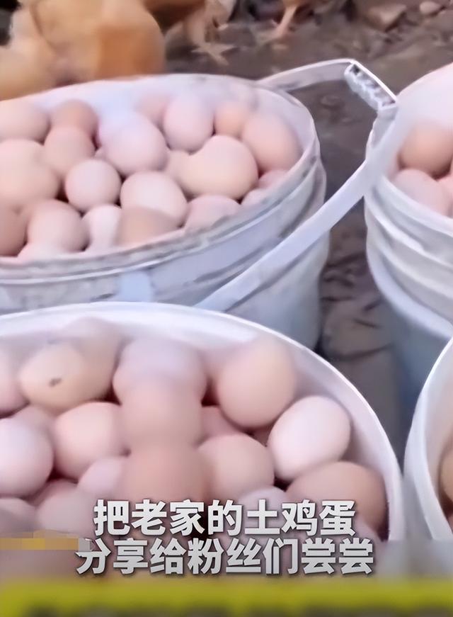 远离“造神”陷阱，央视新闻报道，揭开了18岁全红婵“真实现状”