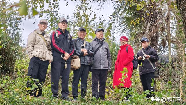 金叶映古村，醉美长岗岭