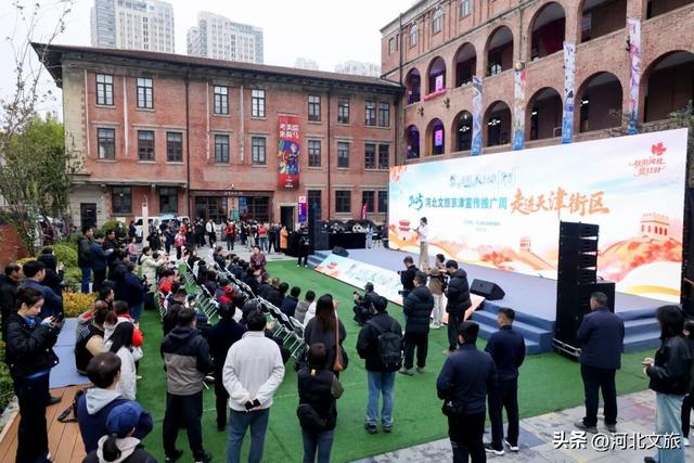 南皮非遗津门绽放 运河风邂逅海河情引热潮