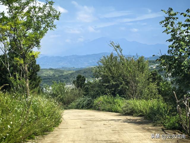 蓝田的美，美在隐秘：这是山边一条少有人走的路，我却走过很多次