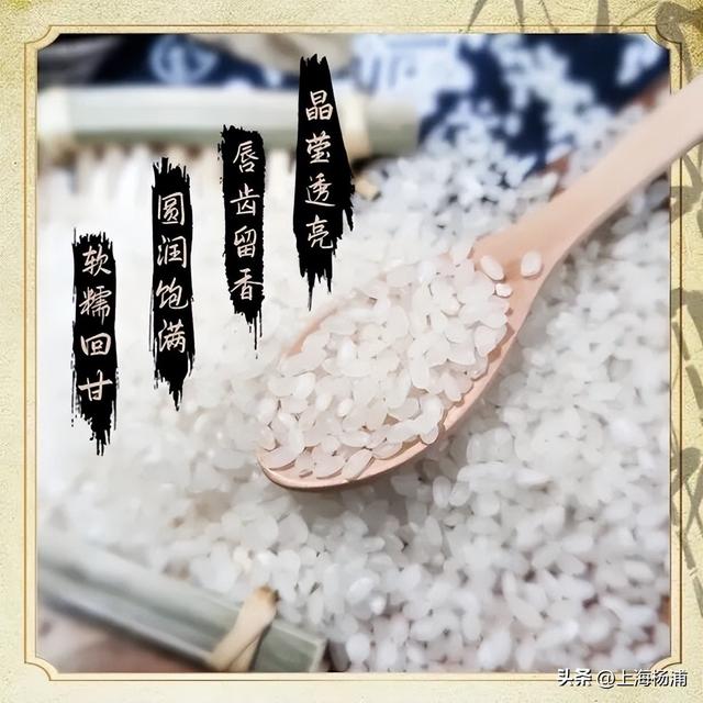 来复兴岛当一天快乐“岛民”