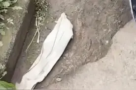 吉林延吉一小区住户6楼抛物险砸到小学生，居委会：已报警，正协调处理图片