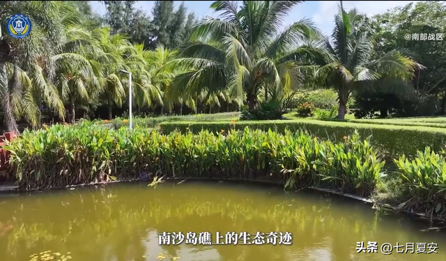 美济岛出现首个湿地公园，希望早日成为国内游客的南沙打卡地