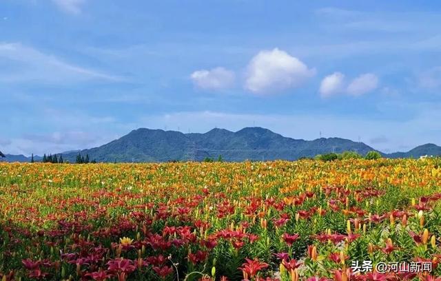 张家口新增4个国家AAA级旅游景区！名单公布！