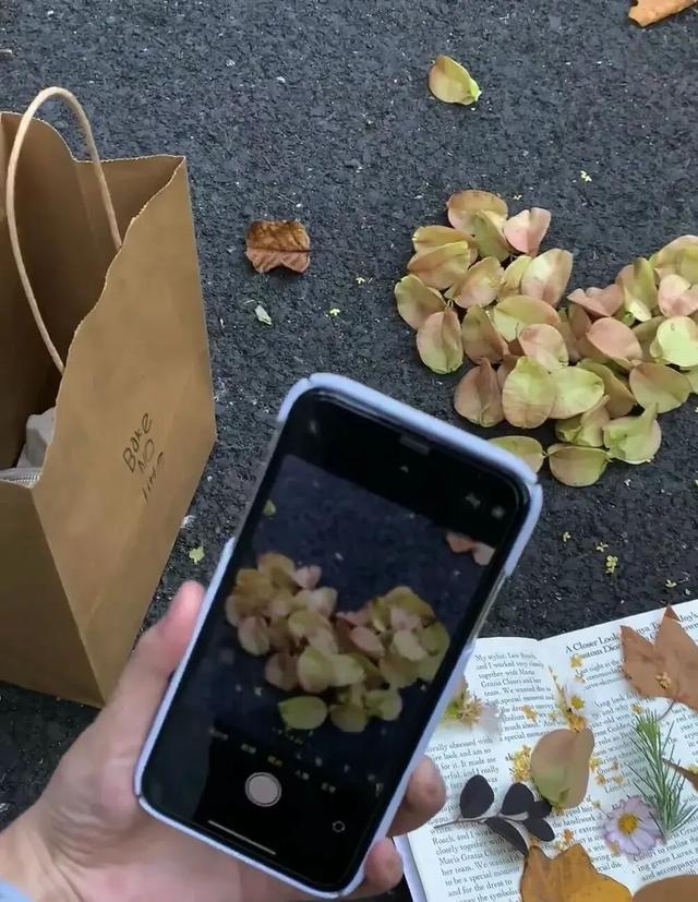 来淄博“捡秋”！海岱楼、周村大街…全被捡出来了→