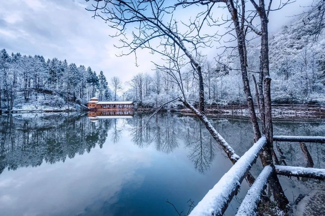 【雪景预告】看雪不必出远门！雅安的冬天超超超美！