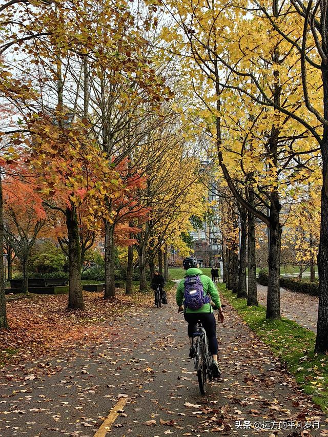 温哥华游记（六）