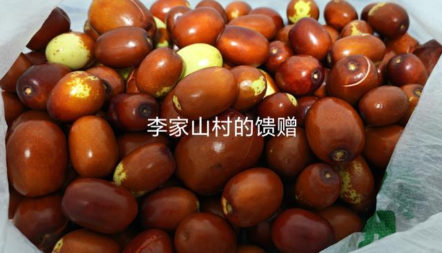 山西深度游—吕梁碛口李家山村