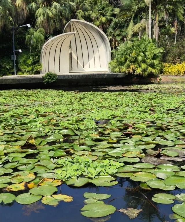 厦门植物园专类园区蔷薇园，始建于1995年，蔷薇科植物的浪漫王国