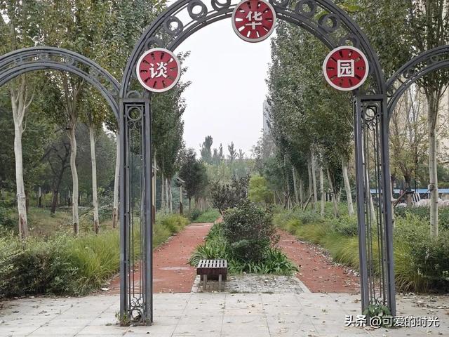 寻趣石家庄——光华路上的绿化带