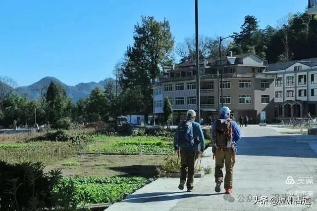 醉美林坑晒秋!这条连接两个避世古村落的省一级古道,周末可走起