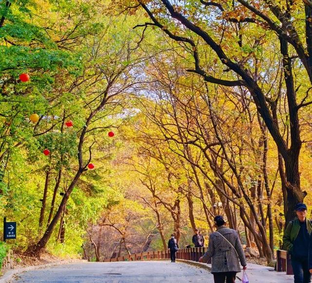 层林尽染 颜值拉满！千山赏秋正当时