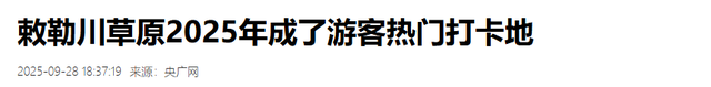 从冬粮到网红！内蒙古的草垛们正在集体“内卷”