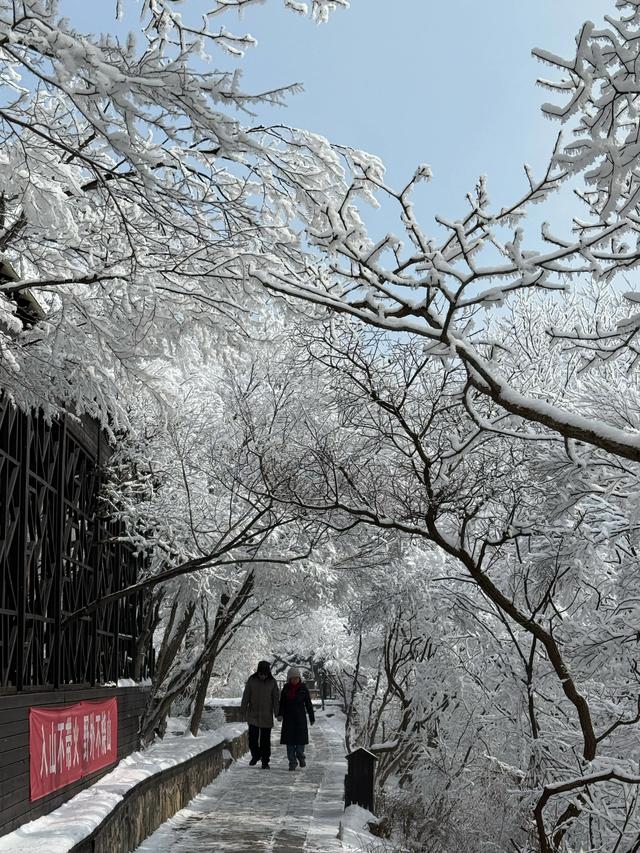 首遇云台山的雪凇美景