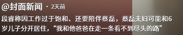 世道不公！蔡磊妻子不再隐瞒，自曝真实处境，6岁儿子成"牺牲品"