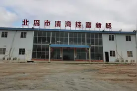 北流最大乡镇开发区项目烂尾，农地入市盲目扩张，上千亩土地荒废图片