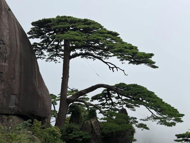 徒步三山五岳：安徽黄山！