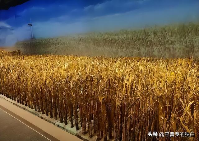02年浙江男子得知铜价从3万涨到8万，囤铜125吨！随后做了一件事