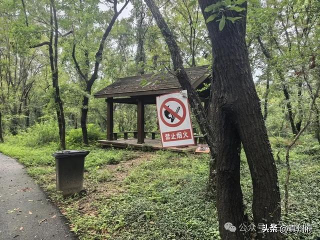 苏中第一峰! 仪征铜山的新故事