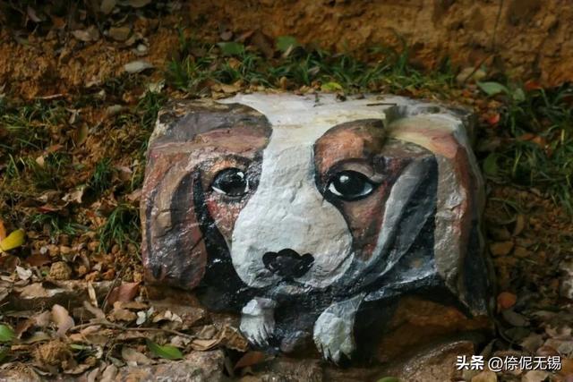 快冲！无锡这条徒步路线，上新啦！