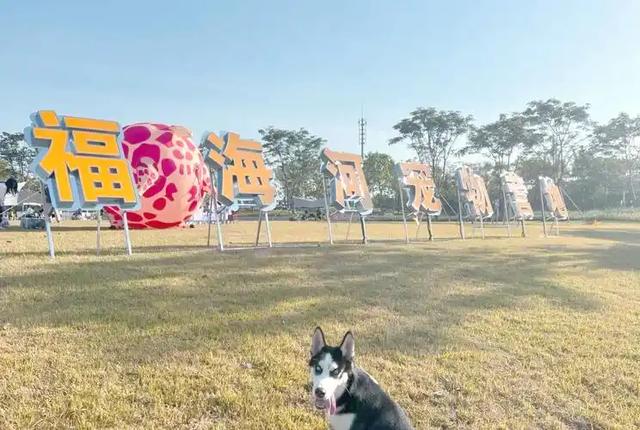 深圳宝安新空中公园！看飞机+遛娃+喝咖啡，还藏 “塞纳河”？