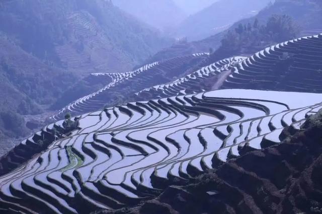 地名里的红河 | 230余万人打卡，名字自带春天气息！
