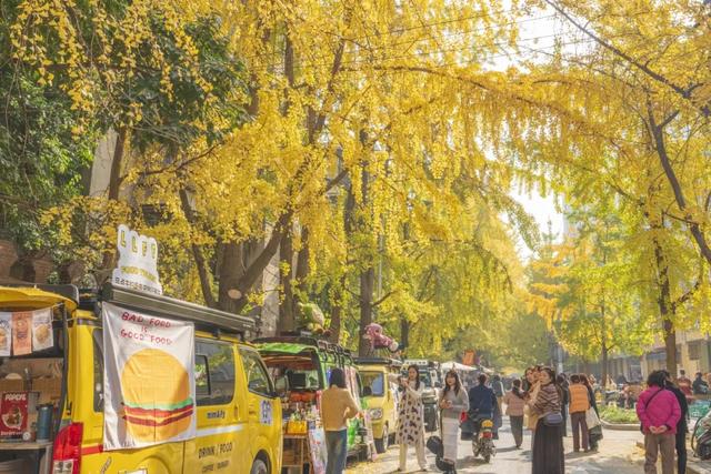 这个周末来银杏路,百张骑行卡免费送!