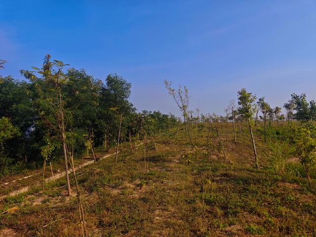 塘朗山郊野公园火车道口与绿平二路段，爬坡酸爽，骑友的天堂