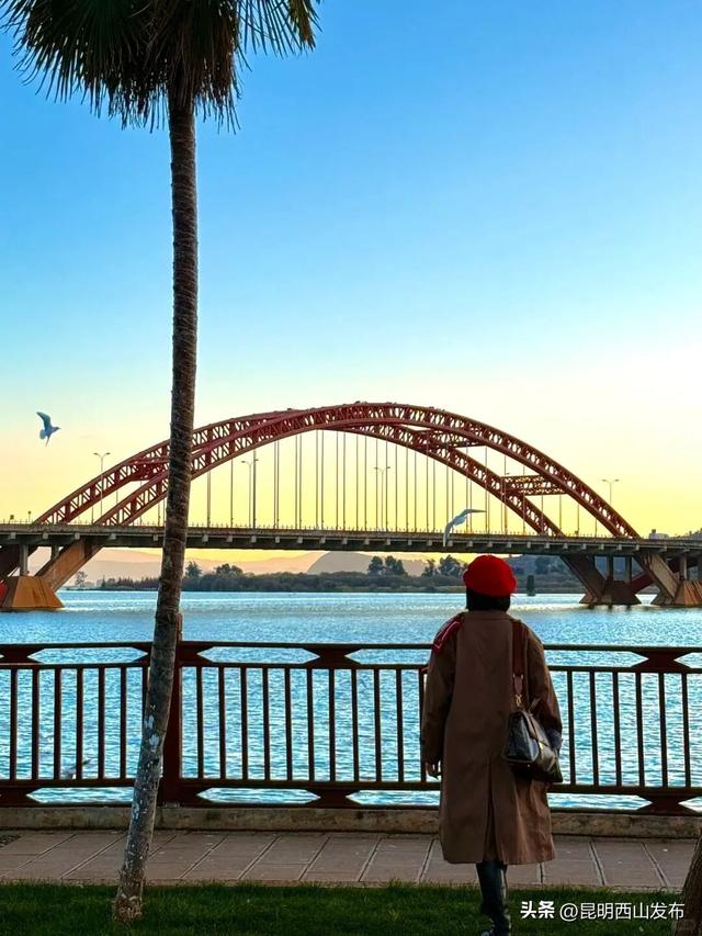 寻鸥潮玩！海口小渔村码头观鸥集市开市啦！