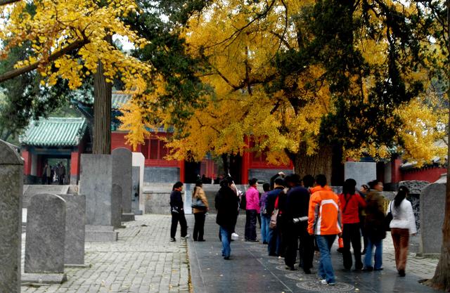 “中原走笔”之四 ― 少林寺杂记