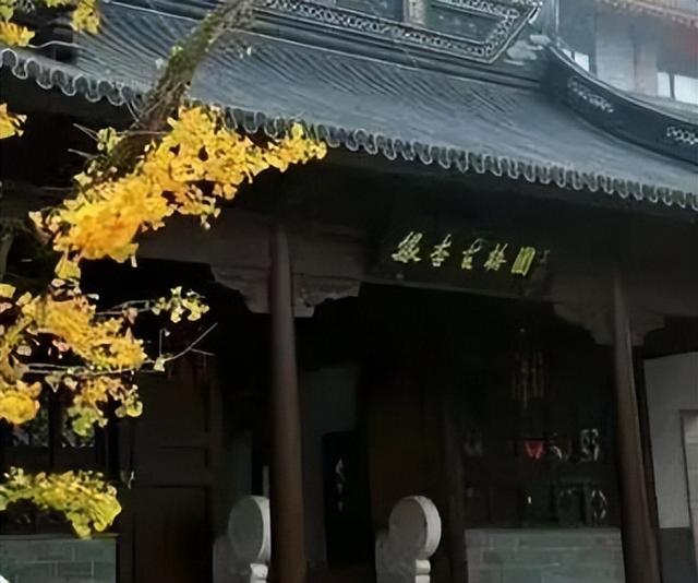 好客临沂放大招！“天赋一‘饼’”争霸赛主场开秀，景区+酒店优惠多到爆，等你来嗨！
