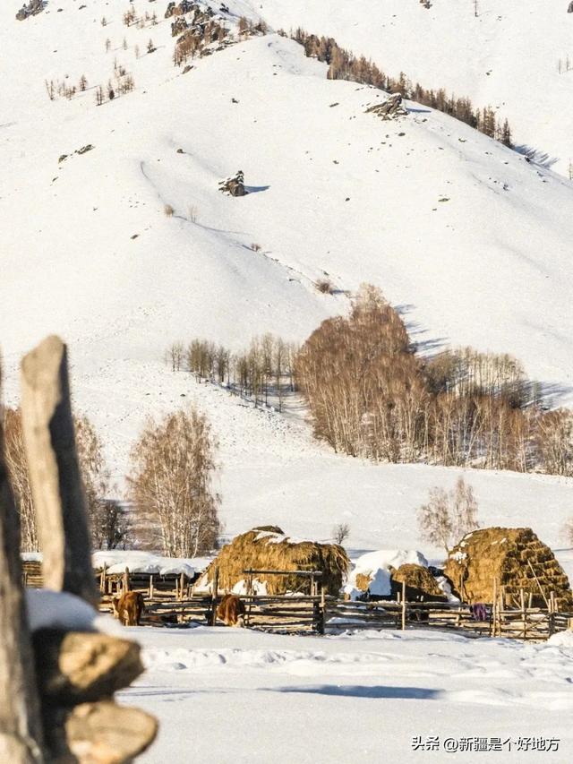 去小红书点名的新疆粉雪童话世界，短逃离~
