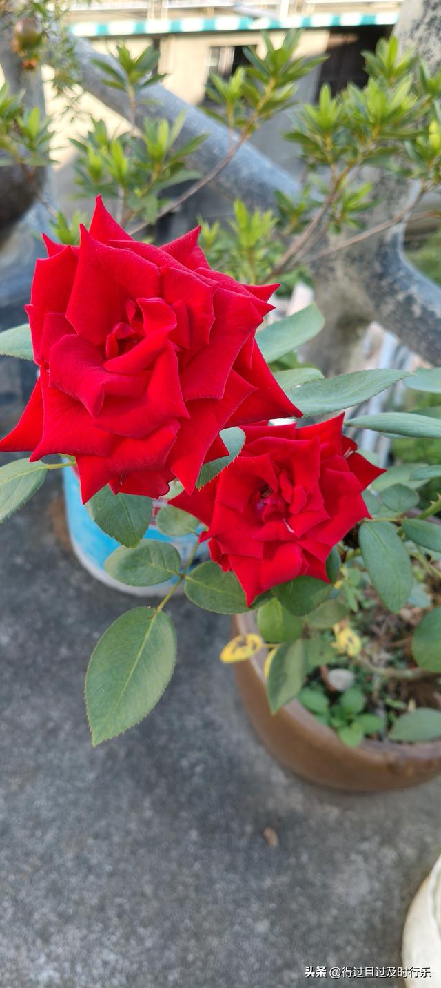 婺源游记-01慢品人间烟火