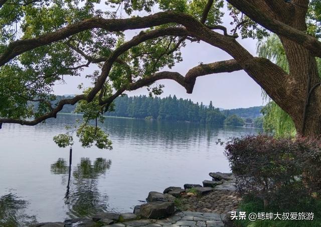杭州西湖十景是哪十个景点？一日游该如何规划？有什么注意事项？