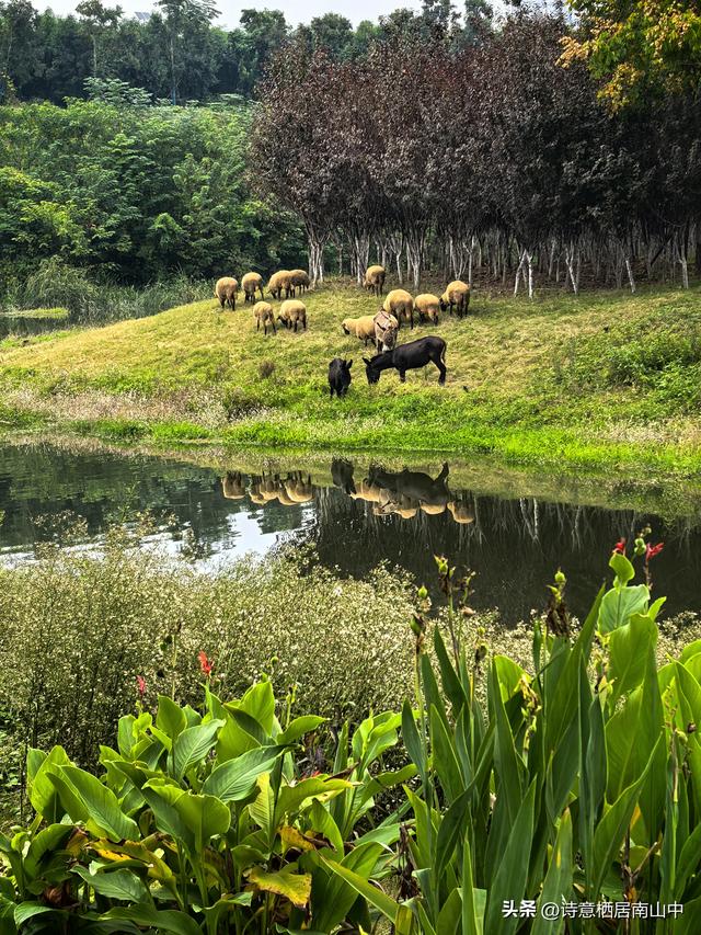 东西湖大堤绿道阻碍重重，现如何从江岸骑行到东西区大堤绿道？