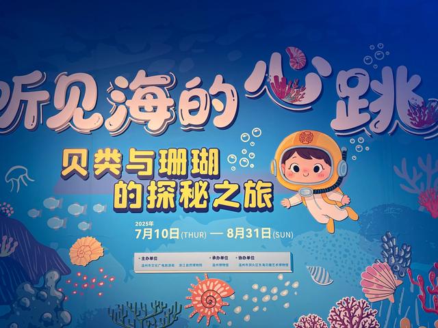 温州博物馆的超详细参观体验攻略,欢迎收藏